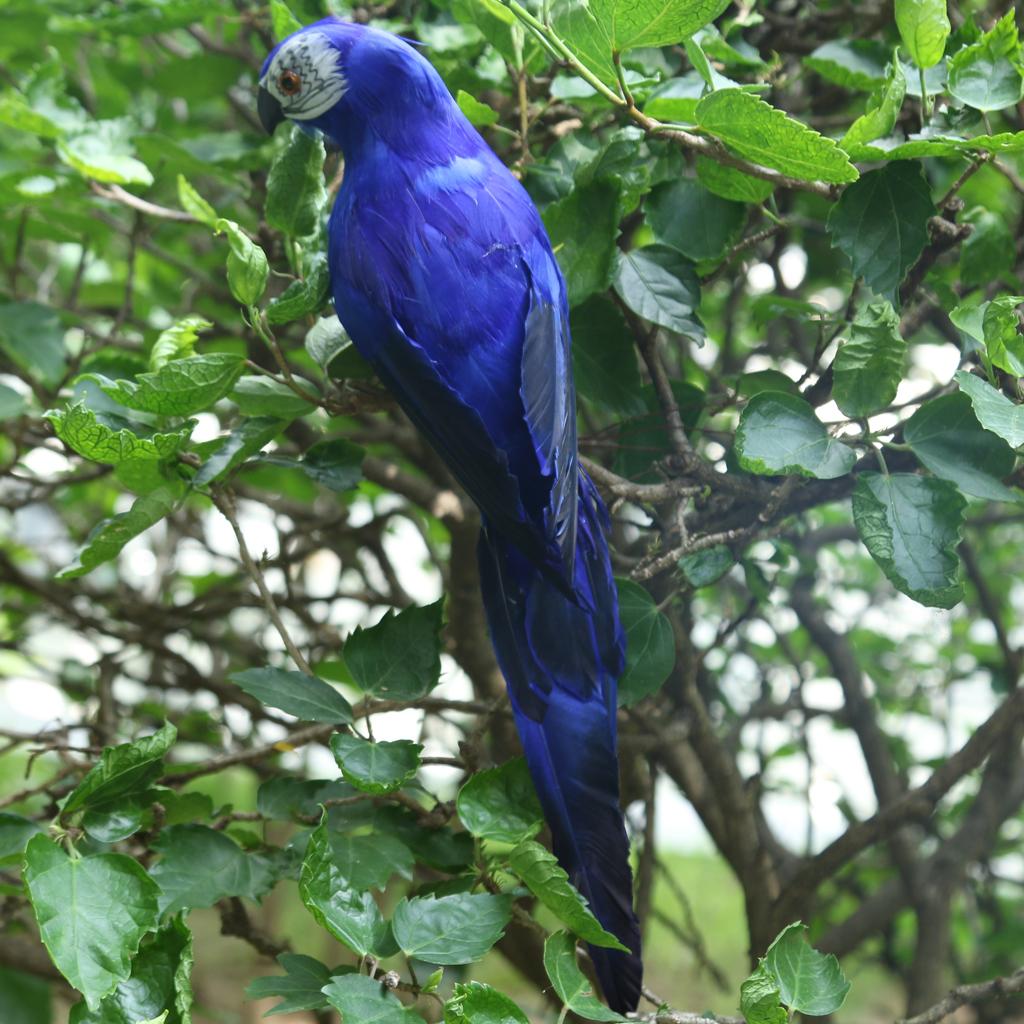 Ręcznie robiona ozdoba papuga Realistyczna figurka ptaka Dekoracja ogrodowa Rzeźba Żywe zwierzę Rekwizyt do fotografii i do użytku w klasie