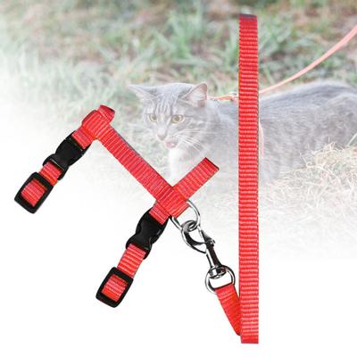 Verstelbare Borstband Kat Kitten Trekkoord Wandeltuig Lijn Huisdierbenodigdheid