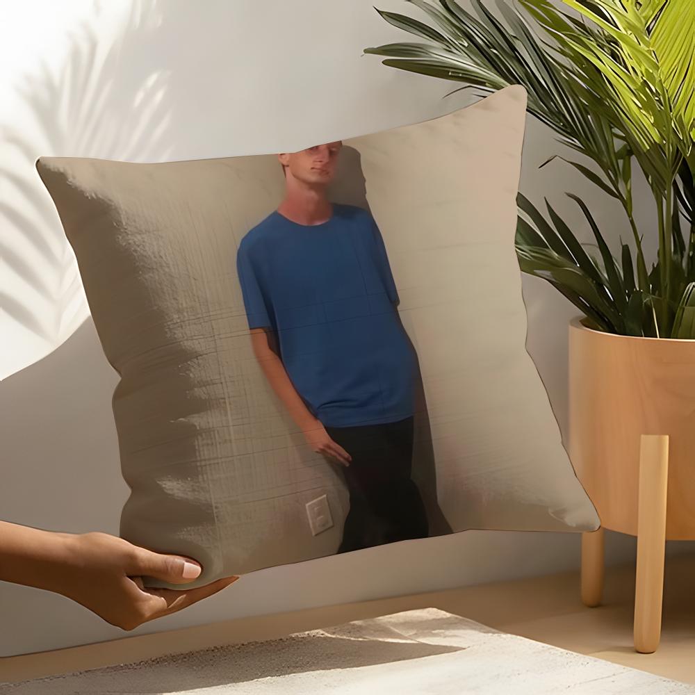 Funny Ddaniel larSson meme Pillow Case Home Living Room Decoration Linen Pillow Cases Cushion Cover
