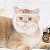 Cat Muzzle Anti Bite Cat Face Protection For Nail Trimming Transparent Kitten Mouth Guard Helmet Pets Supplies