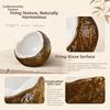 Decoration Coconut Fruit Serving Plate Snack Plate Fruit Storage Tray  Household Use