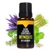 Parfumerie – Uleiuri esențiale