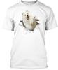 Samoyed Dt Tshirt Size S To 5xl