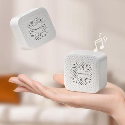 Newman BT520 Hi-Fi Portable Bluetooth Speaker CN Plug (adapter Included)