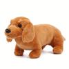 Simulate Verisimilitude Dachshund Douglas Spats Black &Tan Coffee Dachshund Dog Plush Stuffed Animal Give Chirdren Brithday Gift