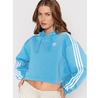 Adidas Adicolor Classics Hoodie