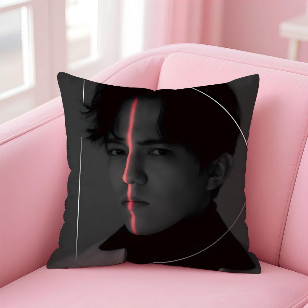 D-Dimash K-Kudaibergen Singer Cushion Cover Comfortable Reversible Pillow Cover Ideal for Car Sofa Bedroom & Beyond