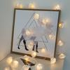 Battery Operated Outdoor Lamp Rose String Light Flower Fairy Light Light String Wedding Decoration