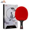 Double Fish 5-Star Professional Table Tennis Racket