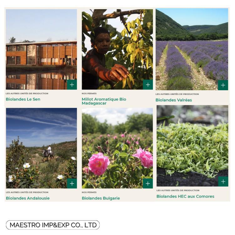 Niche Single Essential Oils & Resins - Direct Sourcing