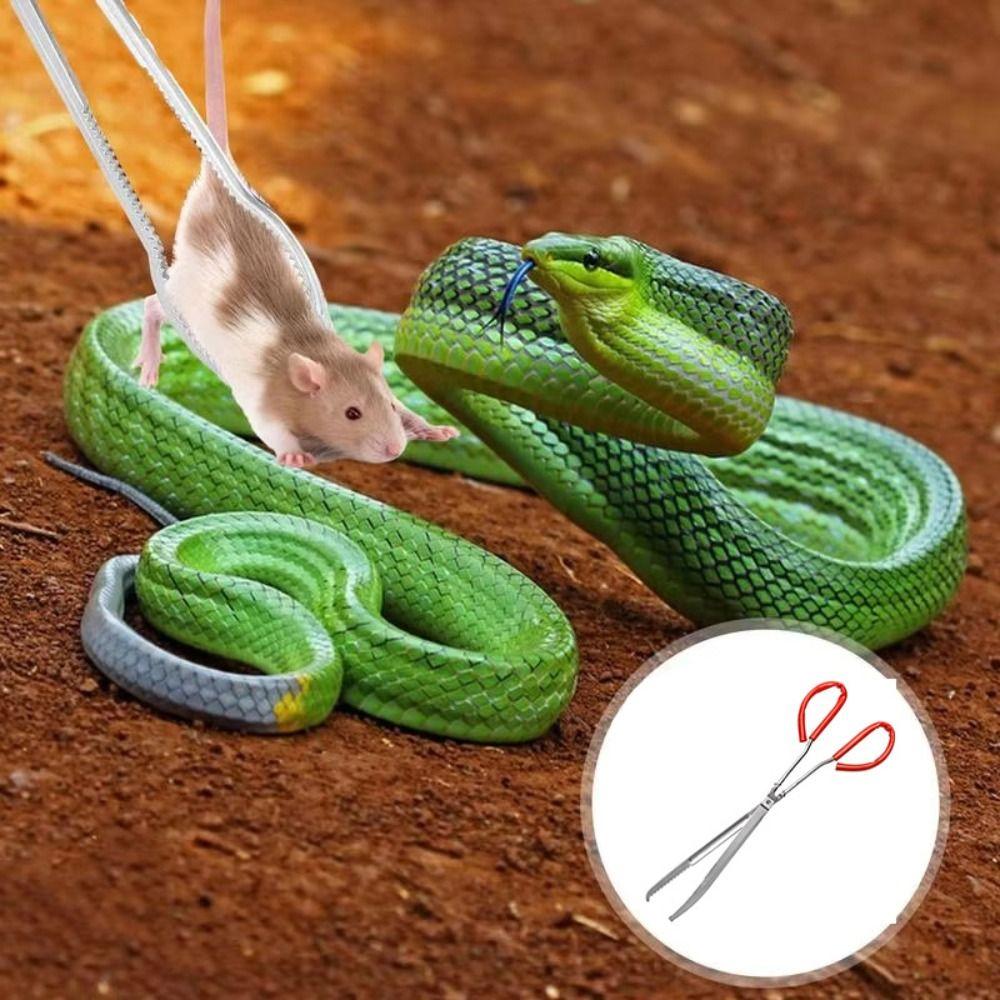 Extra Long Multi-function Stainless Steel Tongs Red Handle Seafood Hand Tool  Reptile Feeding