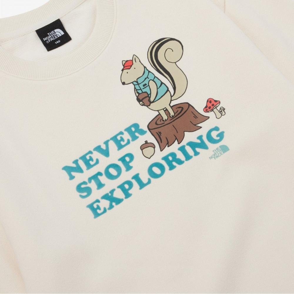 The North Face Kids Camp Site Sweatshirt Nm5mp51s