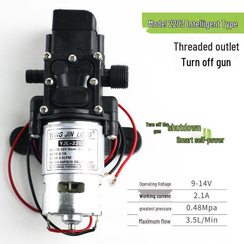 Pompa per Spruzzatore Elettrico con Motore in Rame da 12V: Pompa a membrana autoadescante, Modelli 2203/4200/5500.
