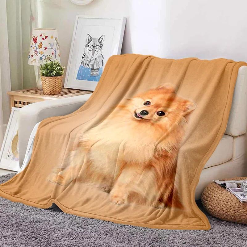 Boston Terrier Dog Pug Cartoon Blanket Super Soft Flannel Throw Blanket for Bedroom Couch Sofa Gift for Boy Girl King Queen Size