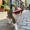 Breathable Dog Fisherman Hat Adjustable Dog Visor Hats Comfortable Cat Sunscreen Hat  Spring Summer