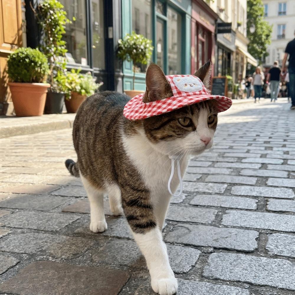 Breathable Dog Fisherman Hat Adjustable Dog Visor Hats Comfortable Cat Sunscreen Hat  Spring Summer