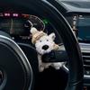 New Plush Puppy Car Decoration Doll Decoration Wiper Turn Signal Switch Decoration Puppy Car Display Screen Decoration