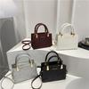 Hand Bag Women's Spring and Summer New Version Fashion Trendy Small Square Bag Texture Simple Casual Messenger Bag