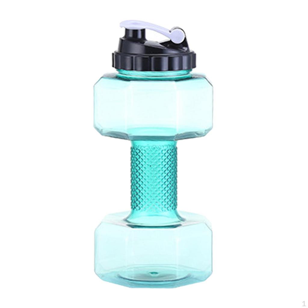 Companion for Fitness Enthusiasts