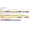 Seaguar PE X8 Fishing Line 300m 6号 86lb Multi-Color