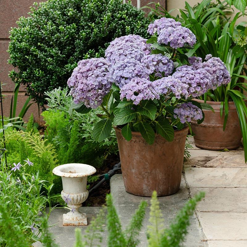 Vaso de Terracota Vintage de Boca Larga, Vaso de Flores Antigo Desgastado para Decoração de Jardim Externo Pátio, Vaso de Jardim Rústico Resistente