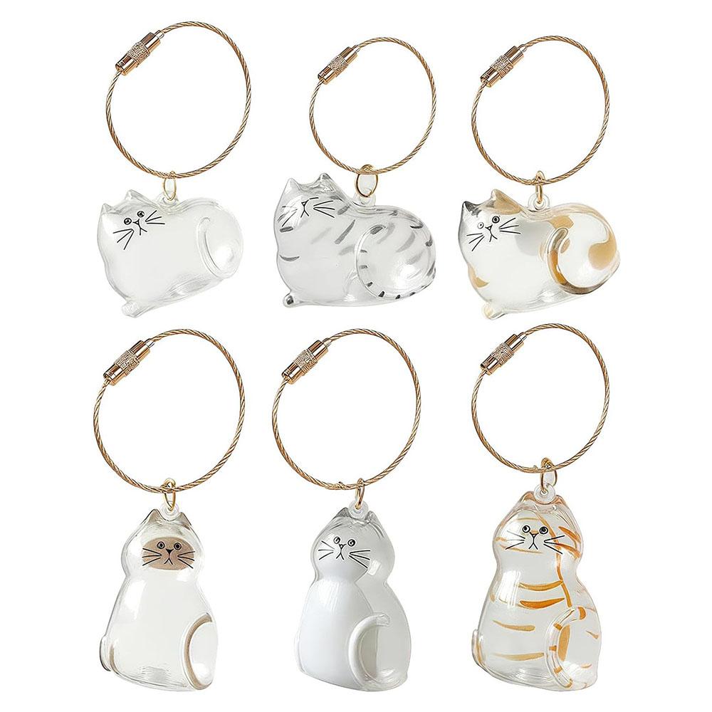 6pcs Transparent Acrylic Cat Hair Storage Keyring