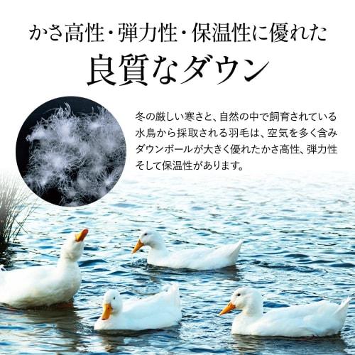 Showa Nishikawa Down Comforter, Made In Japan, 85% White Duck Down, 1.2kg, Plenty of Down, 350 Down Power, Winter Comforter, 3D Quilting, Single/Long,