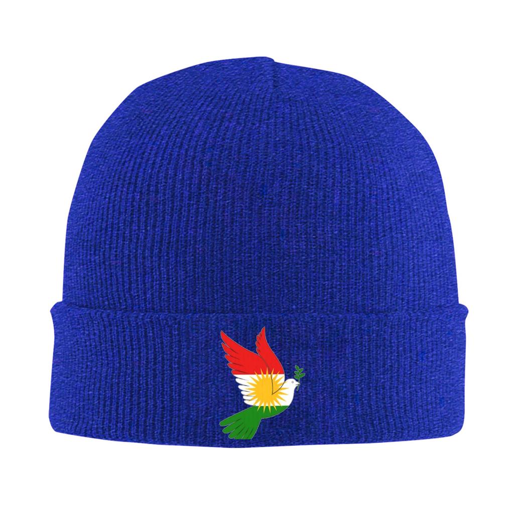 Kurdistan Flagge Mützen Bonnets Männer Frauen Lässig Kpop Mützen Beanies Frühling Design Warm Weich Mützen