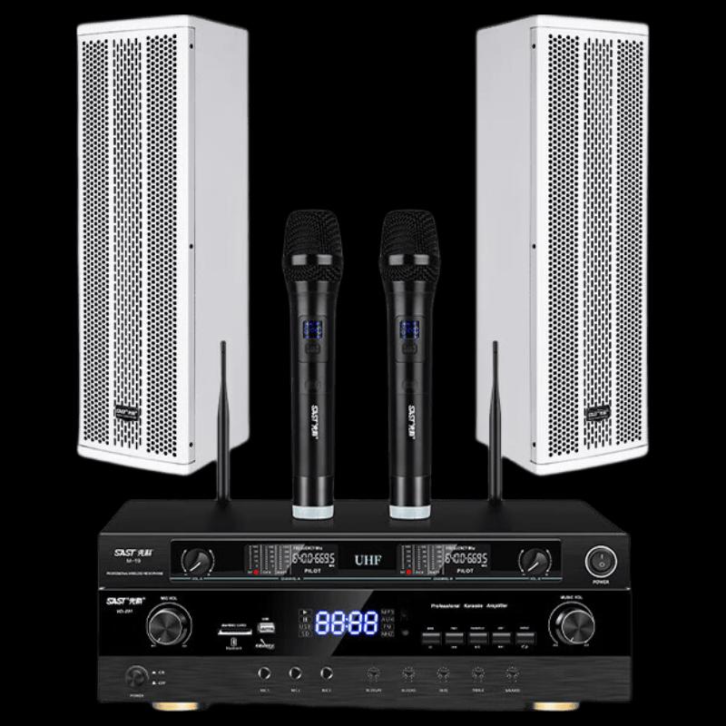 

SAST SH-413 Professional Conference Speaker System with 2 Wireless Microphones (CN version)