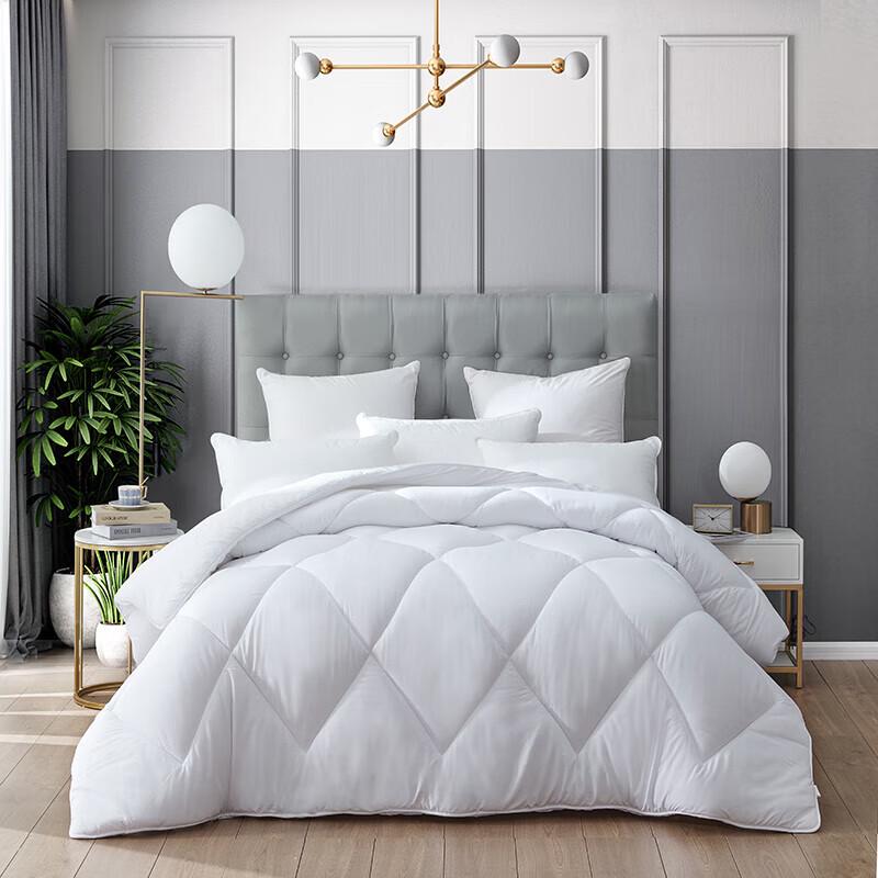 

Mengjie Premium Soft Ten-Hole All-Season Quilt