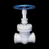 Iron Curtain Cloud Carbon Steel Gate Valve