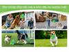 New Cross-Border Pet Toy: Puzzle Training Snuffle Ball for Dogs