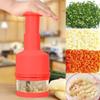 Kitchen Garlic Hand Press Chopper Cutter Vegetable