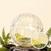 Hamster Exercise Ball, Running Wheel, Stylish, Fun, Transparent Reduces Boredom, Interactive Play