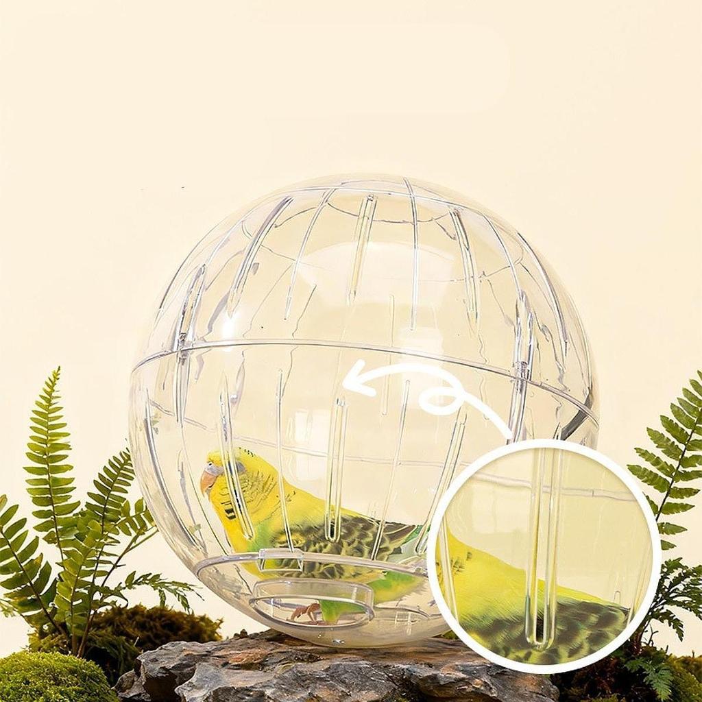 Hamster Exercise Ball, Running Wheel, Stylish, Fun, Transparent Reduces Boredom, Interactive Play