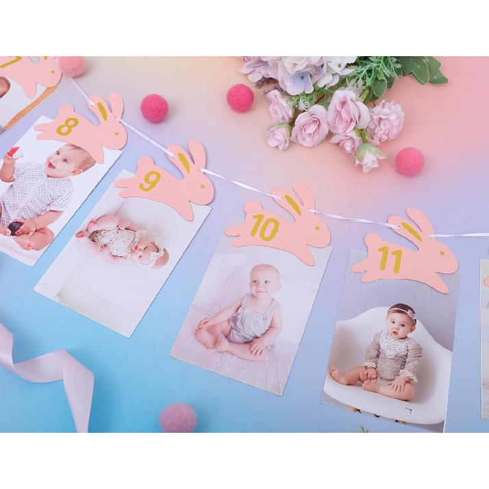 Bunny 1st Birthday Monthly Milestone Photo Banner - Some Bunny Is One Newbron To 12 Months Photo Banner for Grils, Easter 1st Birthday Decorations,