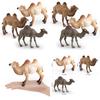 Realistic Animal Pvc Model Camel Decoration For Kids Educational Display And Gifts