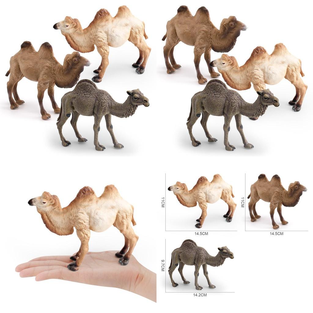 Realistic Animal Pvc Model Camel Decoration For Kids Educational Display And Gifts