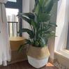 Foldable Woven Straw Flower Basket: Creative Indoor Storage & Decor for Home or Hotel
