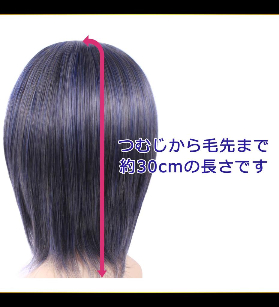 CaseEden Cosplay Wig, Premium Short, Blueish Dark Gray/Charcoal Gray, 6164