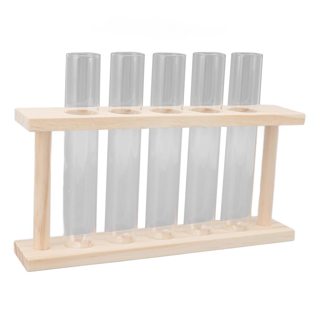 5 Test Tube Plant Terrarium Transparent Observe Growth State Plant Terrarium with Wooden Stand