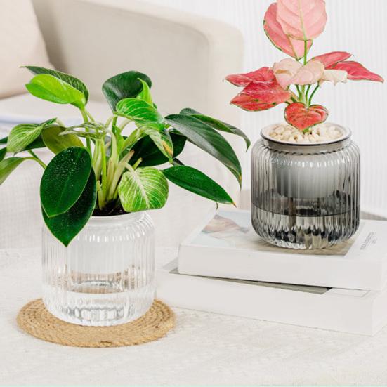 Self Watering Pots for Indoor Plants Clear Plastic Wicking Flower Pot Modern Decorative Planter