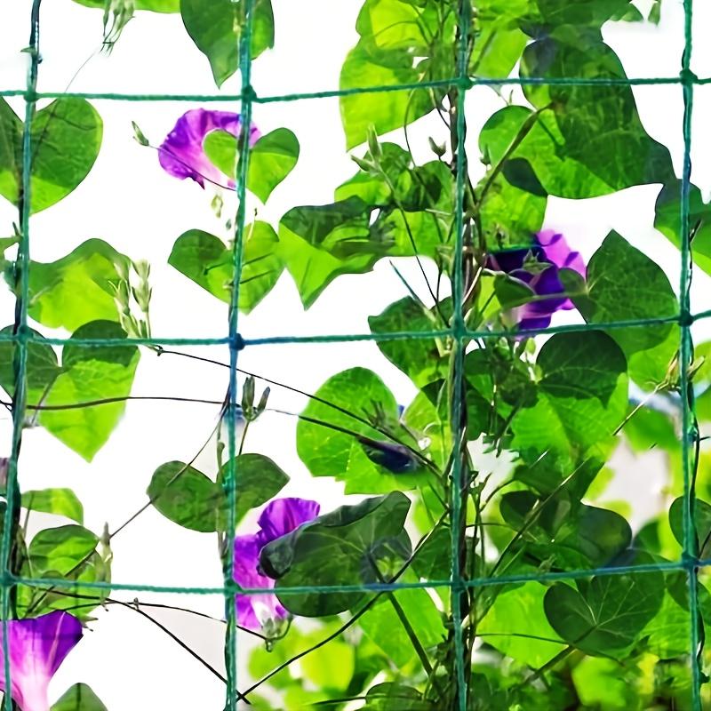 High-quality Garden Climbing Netting Strong PE Plant Trellis for Climbing Plants Loofah Morning Glory Flowers Cucumber Vine