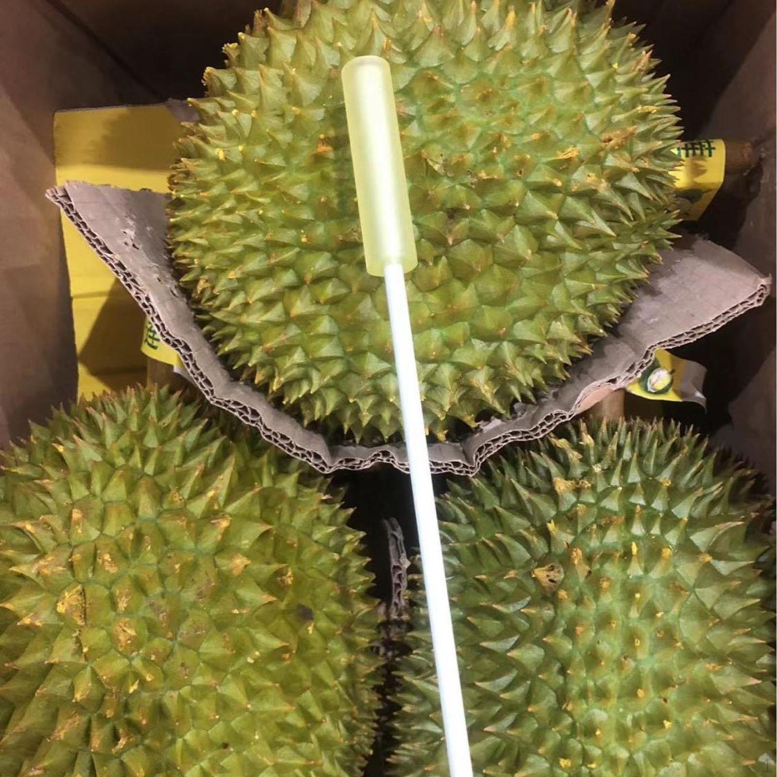 

Тестер зрелости ручки для тестирования дуриана, который легко идентифицировать, портативный для личного использования