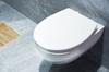 PP SWING TOILET SEAT