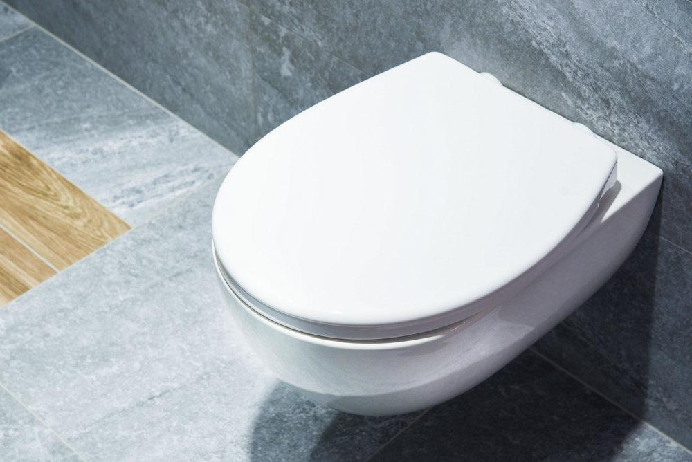 PP SWING TOILET SEAT