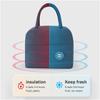 Insulated Lunch Bag Women Kids Cooler Bag Thermal Bag Portable Ice Pack Tote Canvas Food Container Food Picnic Bags
