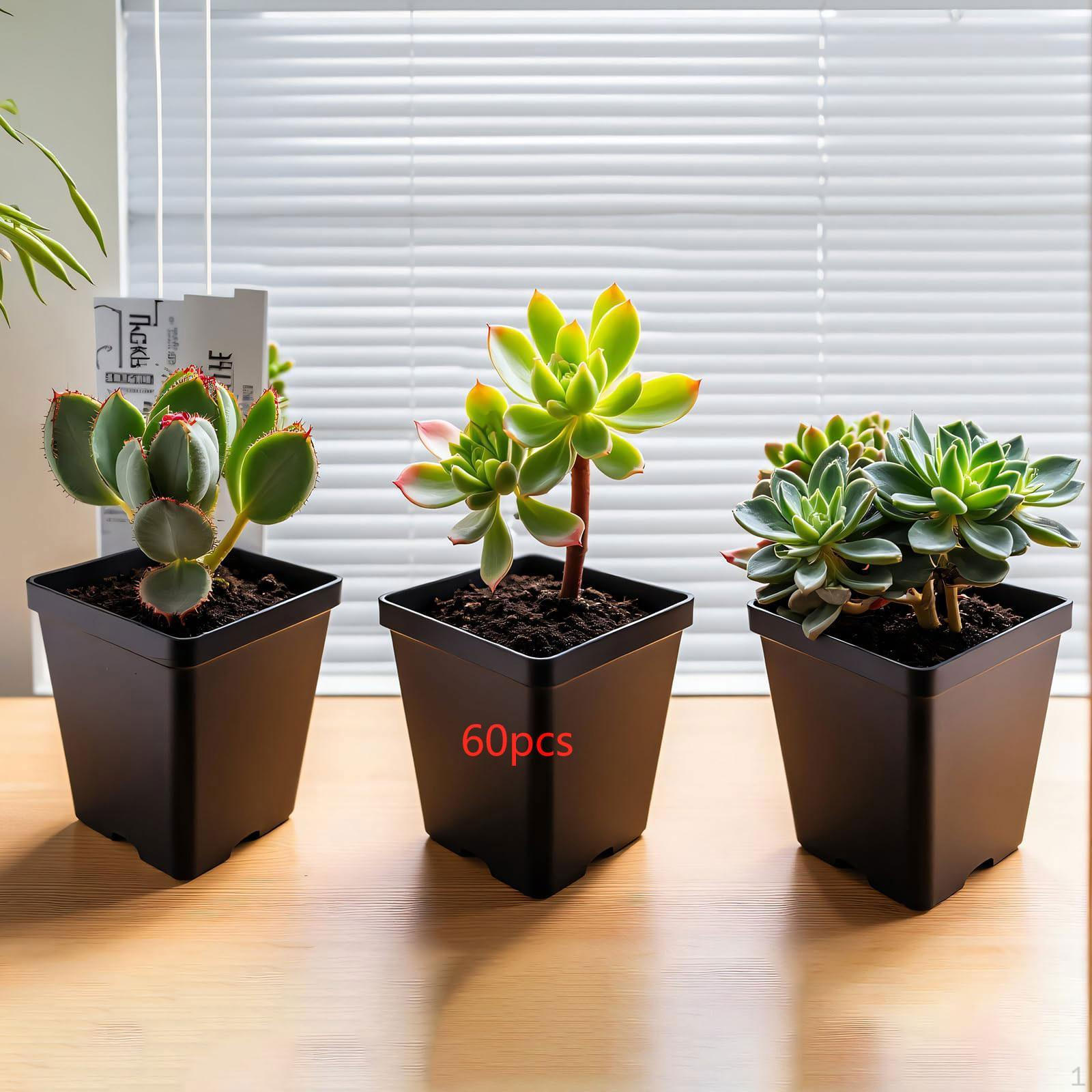 

60 шт. квадратных горшков для рассады цветов для внутренних и наружных овощей 6.8cmx6.8cmx4.8cm