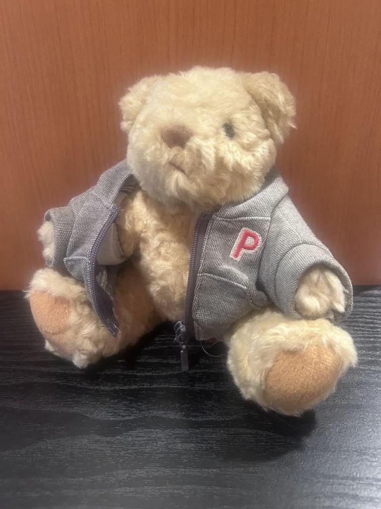 [USED] shaly bear teddy bear detachable hoodie