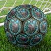Hippopotamus Glass Round Football Size 5 Adult Ball Suitable for Training Matches and Outdoor Team.